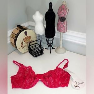 Cassandra Intimates Pink Lace Underwire Bra Size 32D NWT